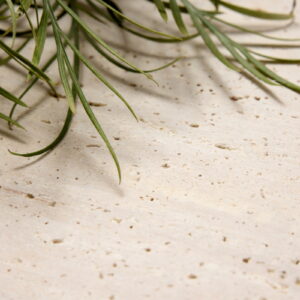 TRAVERTINE PORTOFINO 900x450x20 ($/unit) - Image 5
